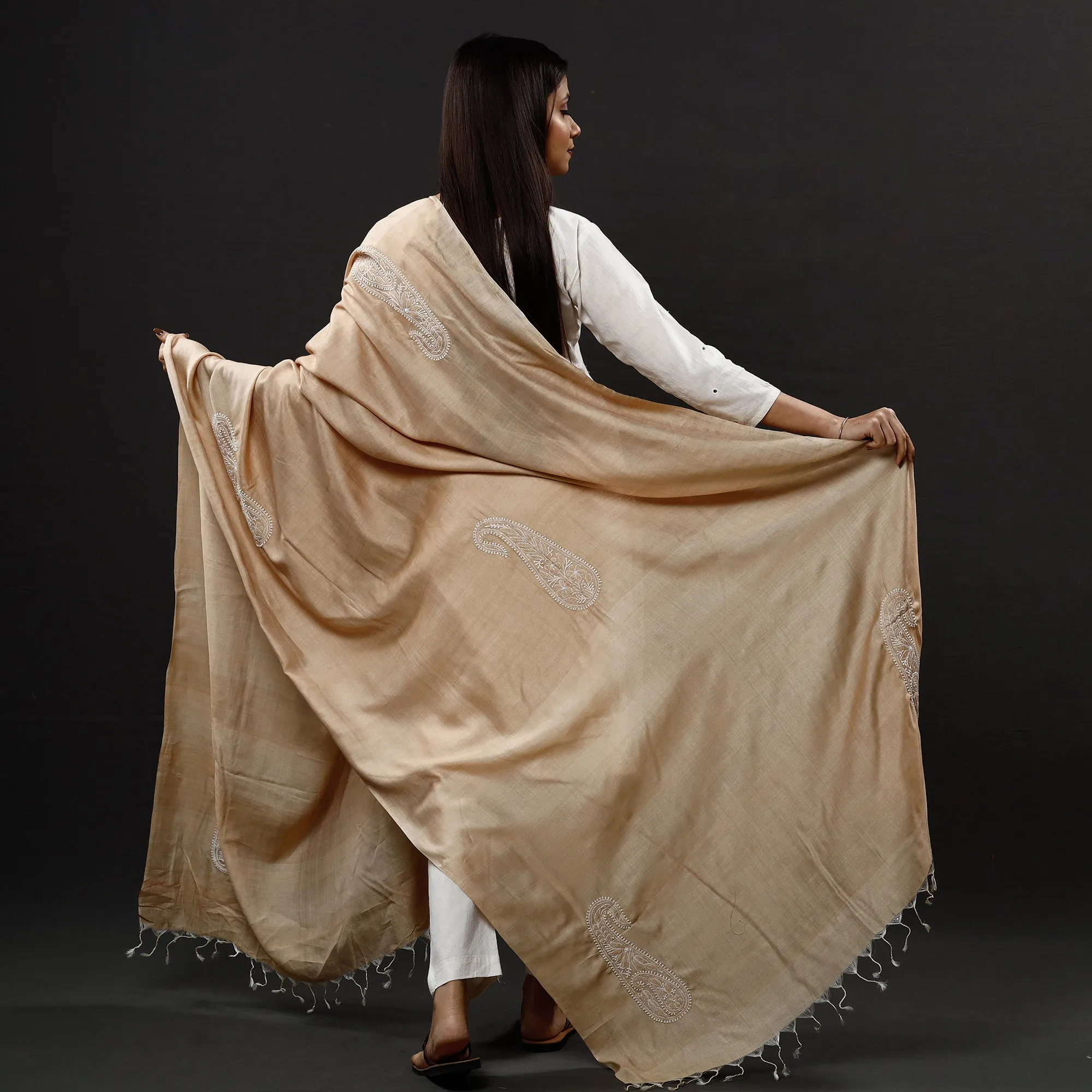 Brown - Lucknow Chikankari Heavy Hand Embroidery Silk Cotton Dupatta