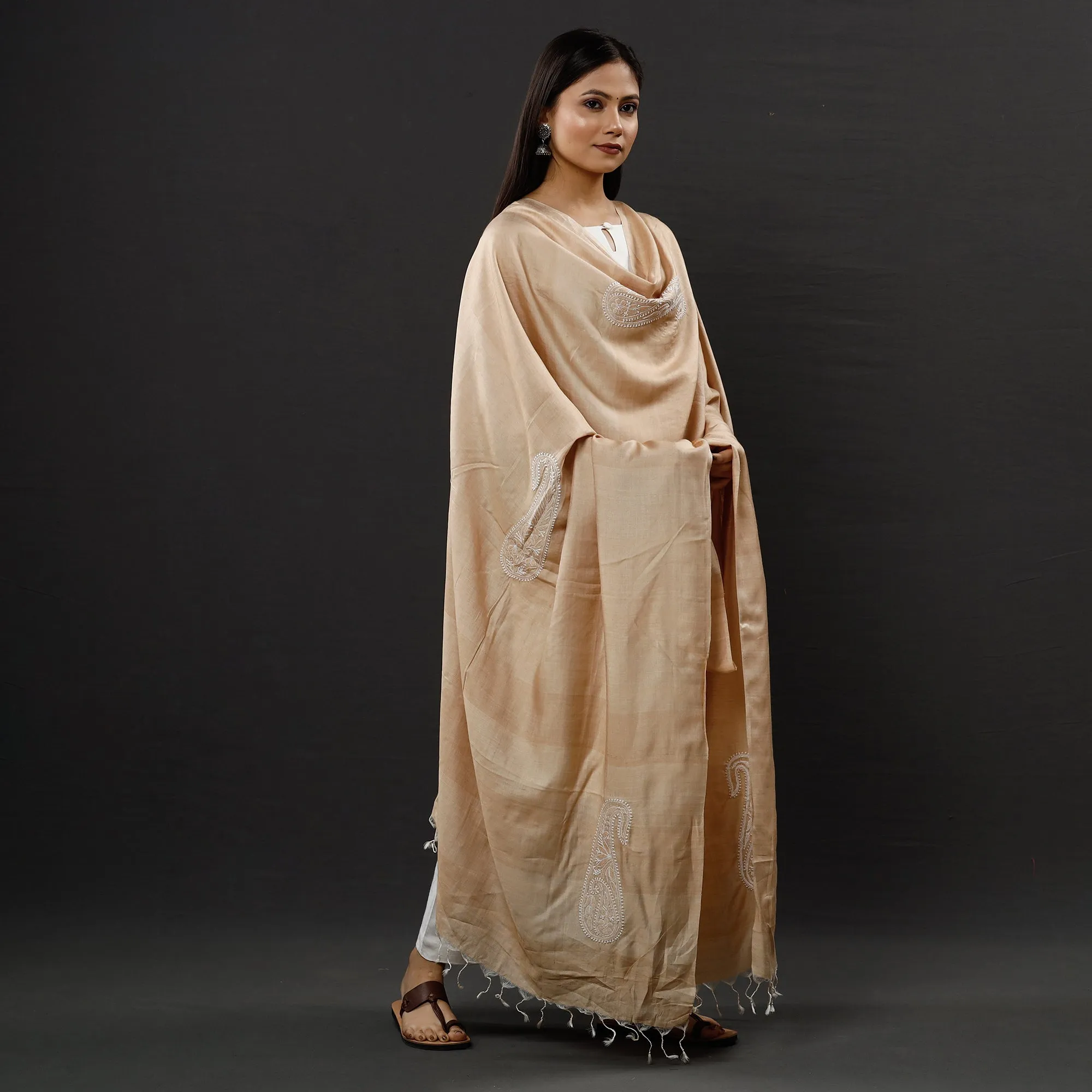 Brown - Lucknow Chikankari Heavy Hand Embroidery Silk Cotton Dupatta