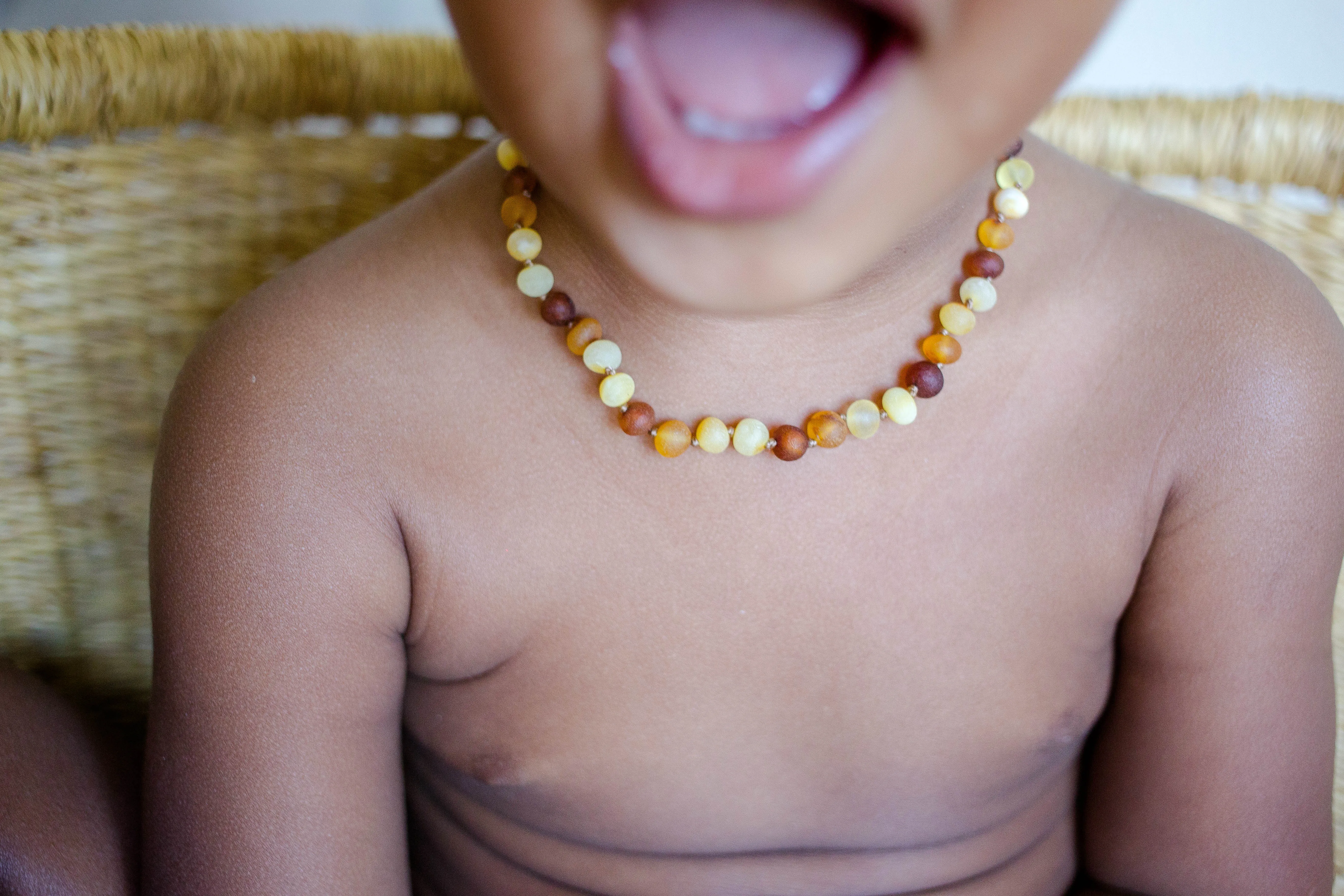 Multi Color Raw Baltic Amber Necklace